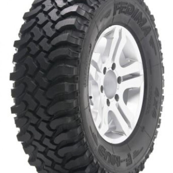 FEDIMA F/MUD 1