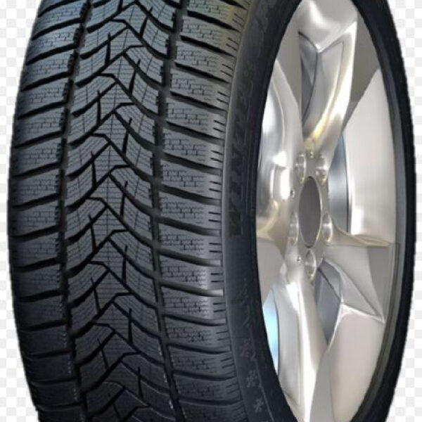 DUNLOP WINTER SPORT 5